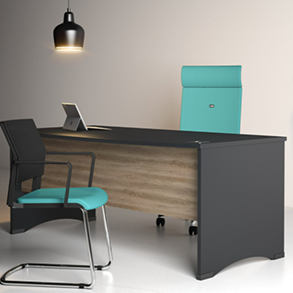 Panel Ended Desks